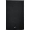 FionTu Qilin 15-inch Full-Range Conference Speaker (CN version)