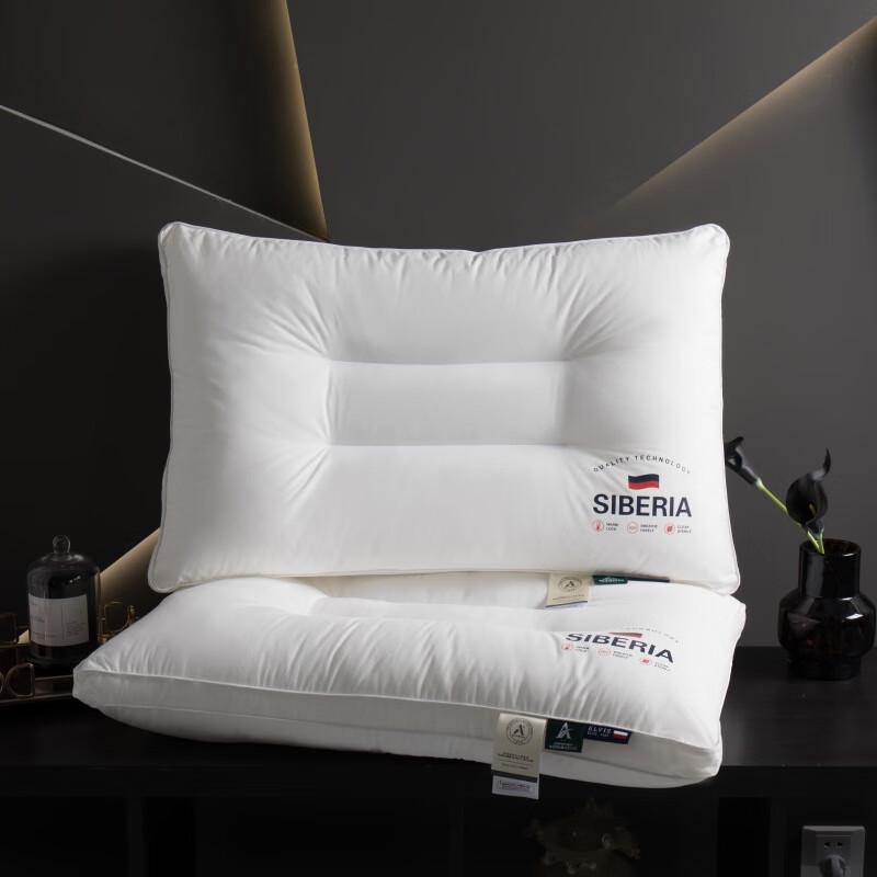 Cervical Support Pillow Pair (48x74cm)