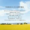 SHIRO White Tea Hand Beauty Serum 55g Cream