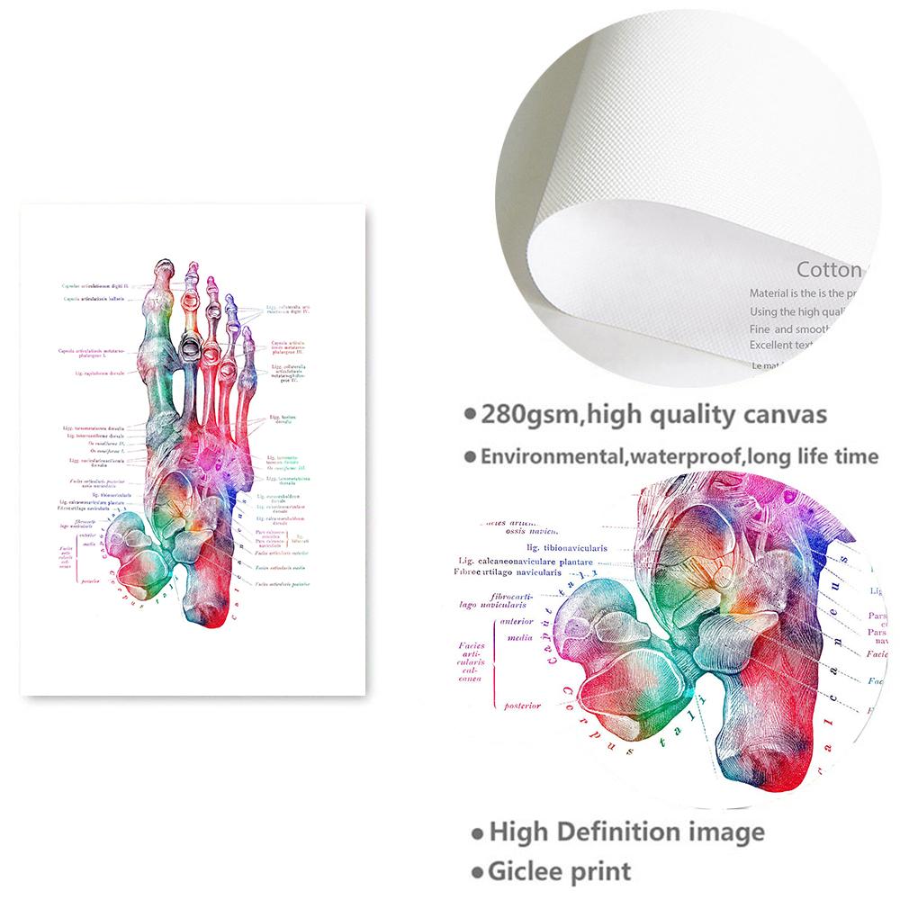 Foot Bones Anatomy Poster Podiatry Art Medical Print Canvas Painting Posters And Prints Wall Pictures For Gift Doctor Office Dec