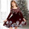Girl Casual 3D Snowflake Print Round Neck Long Sleeve Dress Kid Princess Dress