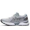 Wmns Gel Nimbus 22 Platinum Grey Pure Silver 1012A664-020