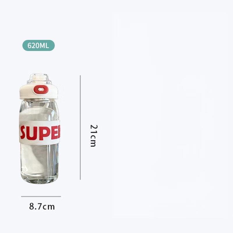 Zhiyue Large Capacity Glass Tea Infuser Sports Water Bottles (2-Pack)