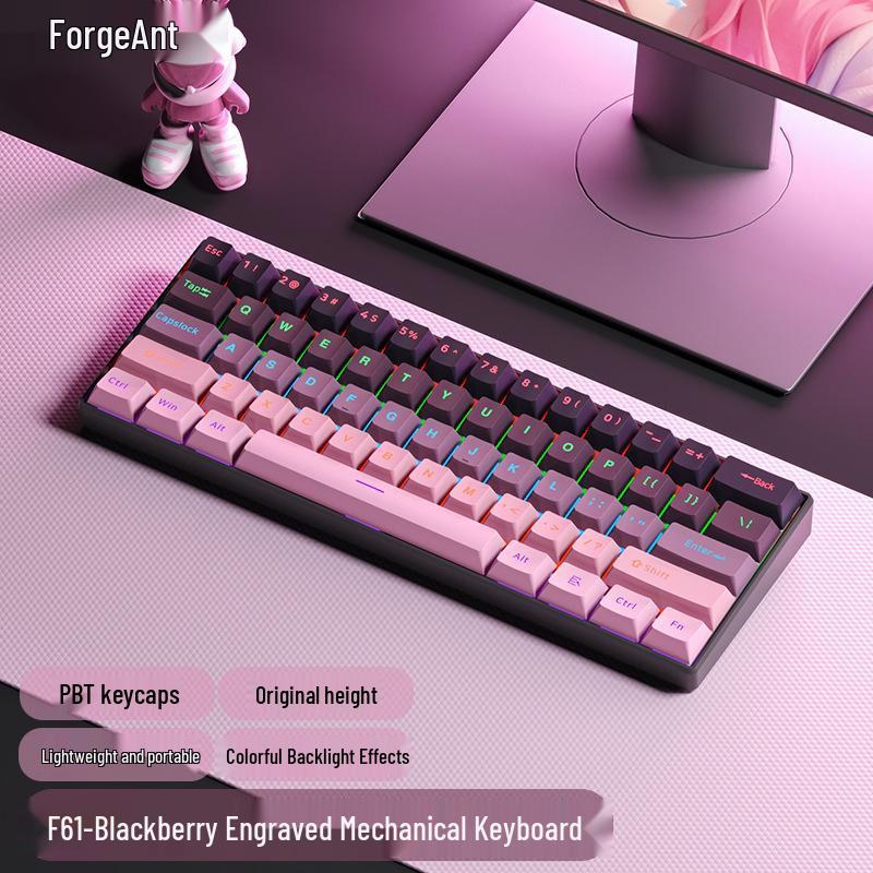 61-key Wired Mechanical Keyboard, Blackberry Gradient Design for Gaming & Office, High Aesthetic Value for Girls