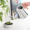 Indoor Watering Can Stainless Steel Wooden Handle Watering Pot with   Spout for House Plants Flowers Succulents Bonsai 1L