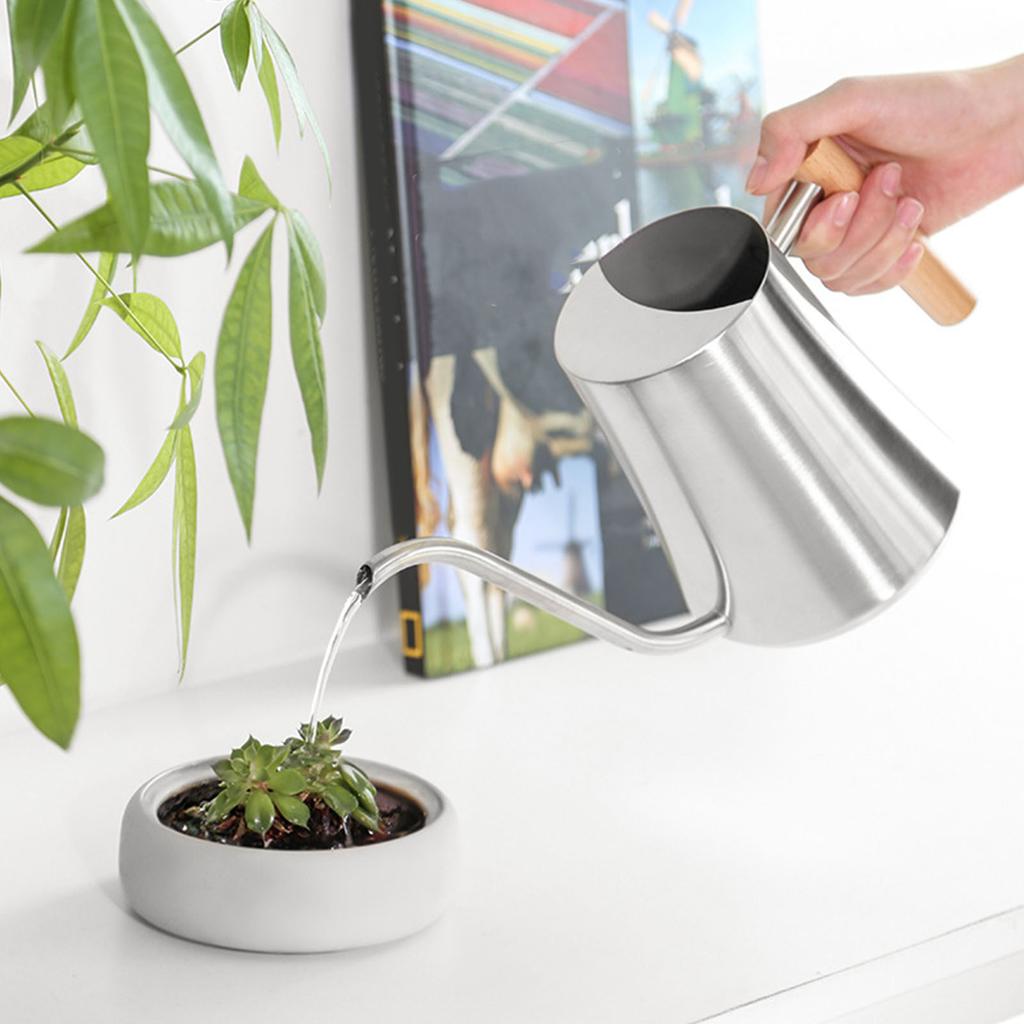 Indoor Watering Can Stainless Steel Wooden Handle Watering Pot with Spout for House Plants Flowers Succulents Bonsai 1L