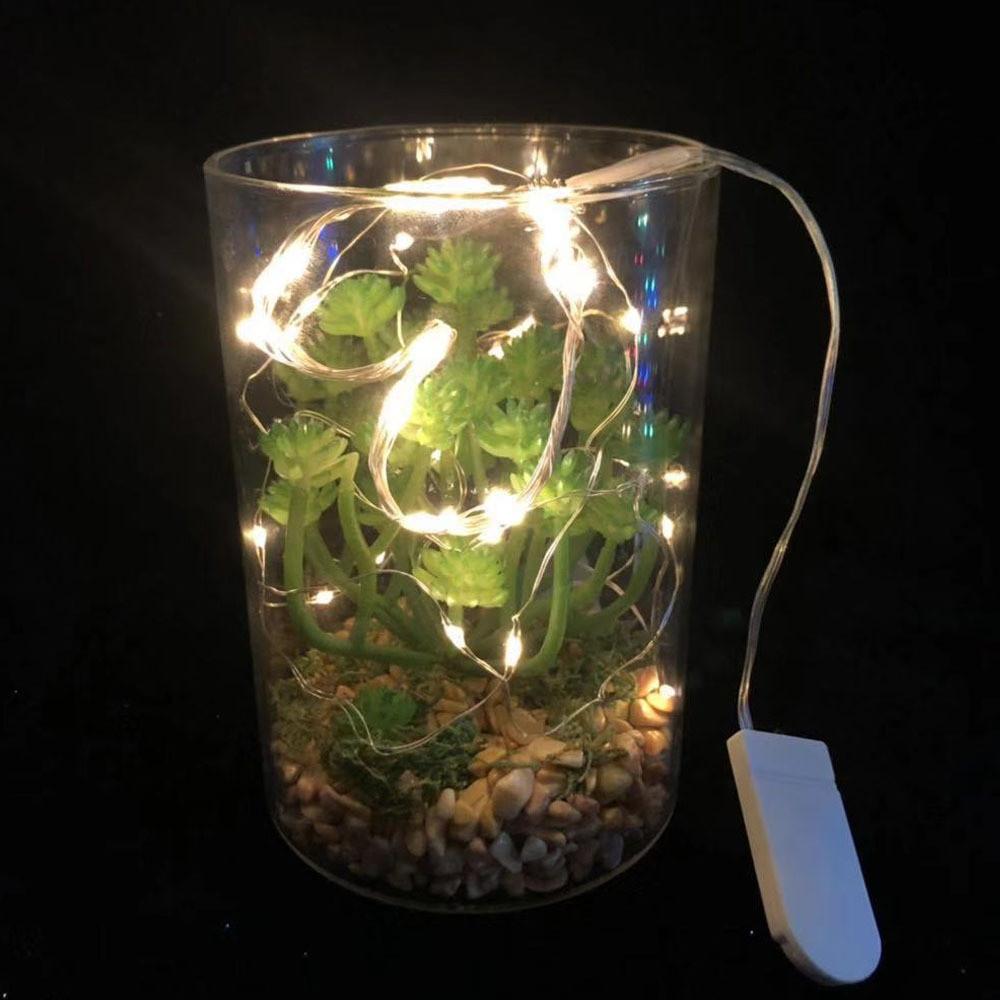 String Led Charming Lights In 1 Meter And 2 Meter Lengths Offering Warm And Colorful Lighting For Cozy Ambience Holiday