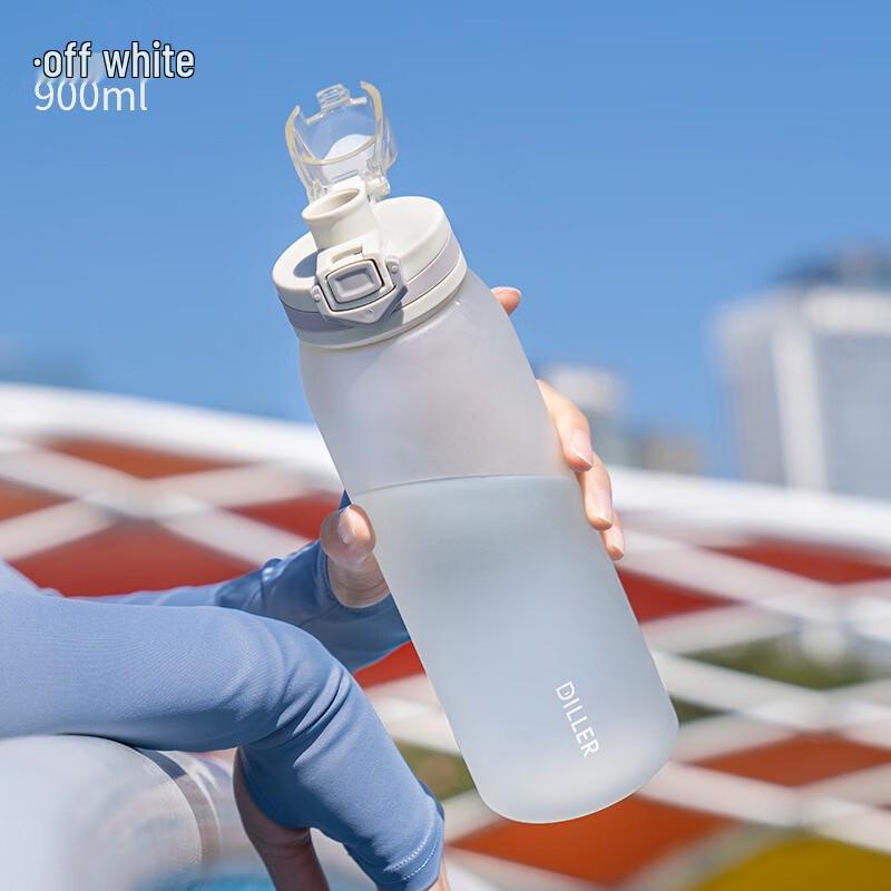 Diller Frosted Portable Plastic Water Bottle with Tea Infuser