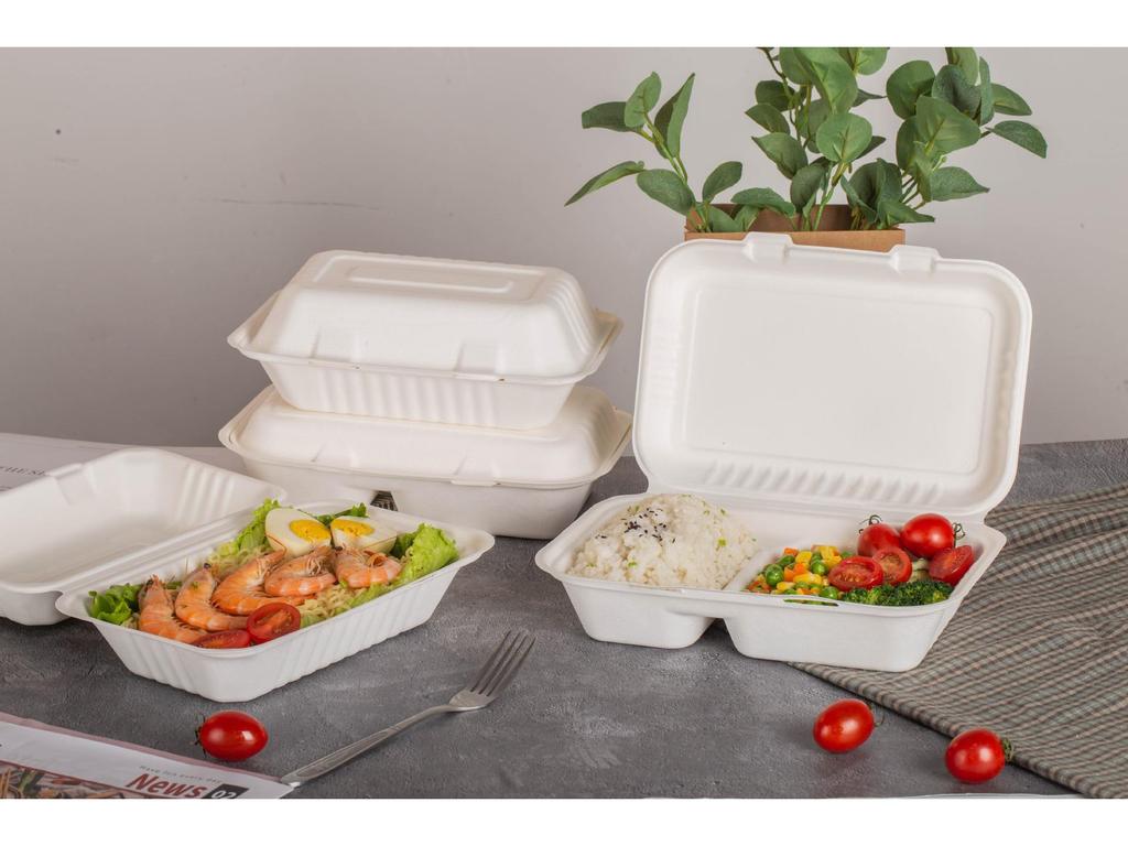 Biodegradable Eco-friendly Disposable Paper Lunch Box with Double Compartment, 9x6 Inch