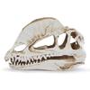 Double Crown Dragon Resin Craft Head Personality Ornament Dinosaur Skeleton Halloween Skull