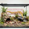 Reptielen – Reptielen benodigdheden