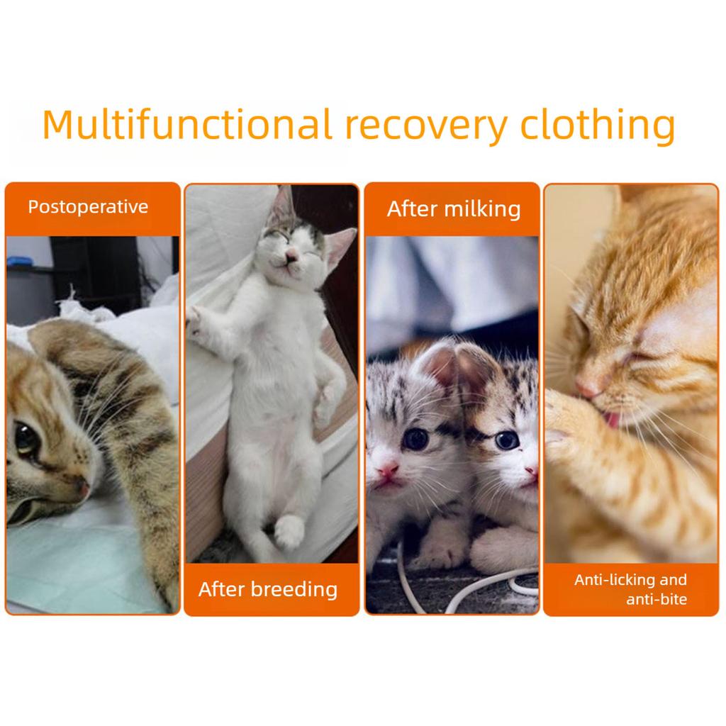 Breathable Cat Spay Recovery Suit Soft Cotton Anti Lick Surgical Garment For Post Surgery Wound Protection