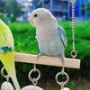 Wooden Parrot Ladder with Hook Bird Perch Swing Stand Toy Parakeet Loop Tunnel  Small Birds