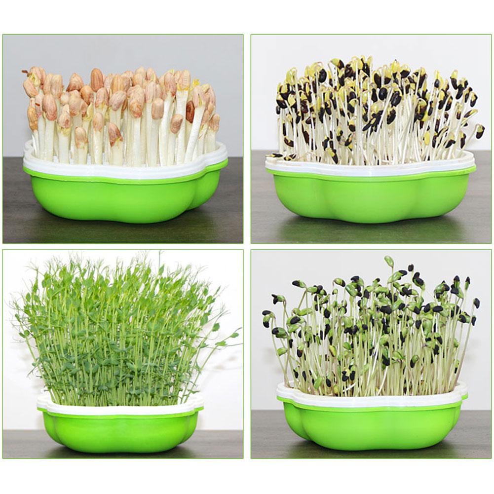 Grădină de casă Cutie hidroponică de germinare de arahide Fasole Mazăre Grâu Răsadător Tavă Iarbă de pisică Creștere Germinare Ghiveci de plantare fără sol