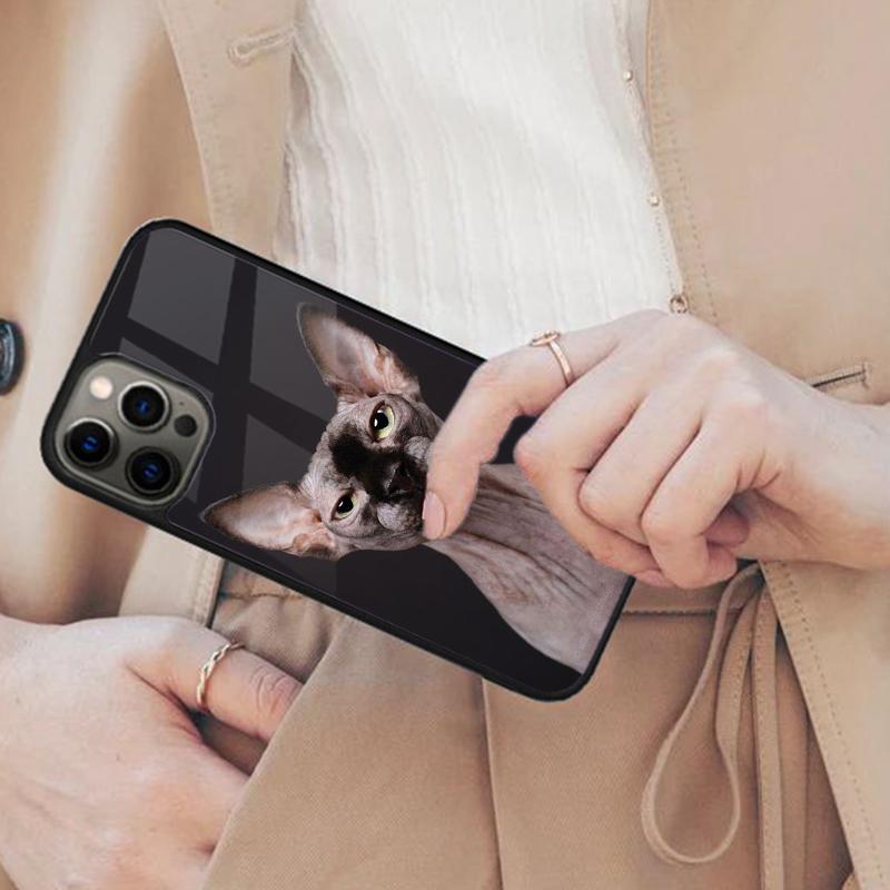 Sphinx Cat Printing Drawing Magnetic Phone Case For APPLE iPhone 17 Air 16 14 13 12 Pro Max 15 Plus Wireless MagSafe Cover