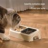Slanted Double Cat Bowl - Anti-tip, Stainless Steel, Detachable, Washable, Anti-black Chin Cat Food and Water Bowl.