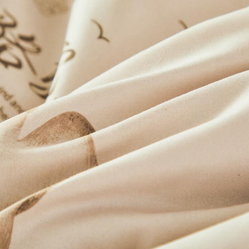 Hengyuanxiang Fiber Camel Wool Quilt