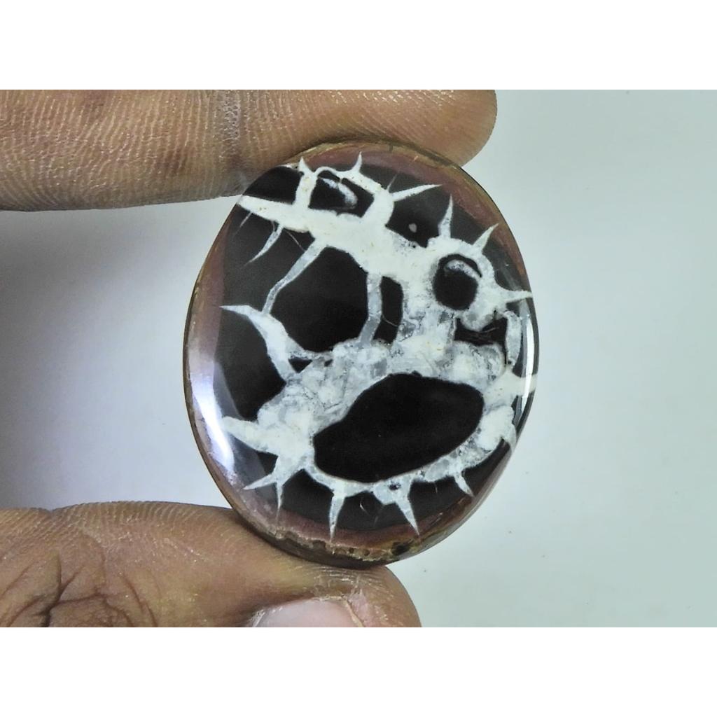 60Cts.Natural Septarian Gronates Oval Cabochon Loose Gemstone 30X38X04 MM D-549