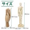 Wooden Drawing Doll Mannequin for Drawing with Photography Model Body Right Practice, Movable, Posing, Stand, Illustration, (Full & Hand)
