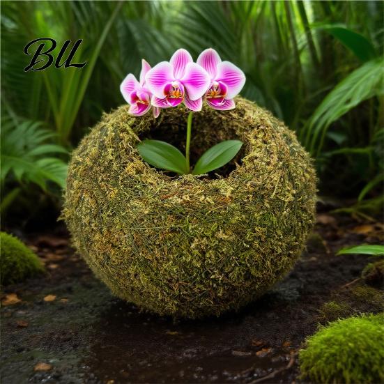 Humidity Maintaining Planter Moss Ball Flower Pot, Natural Green Bonsai Plant Holder, Decorative Spherical Pot for Home, Garden, Wedding Party
