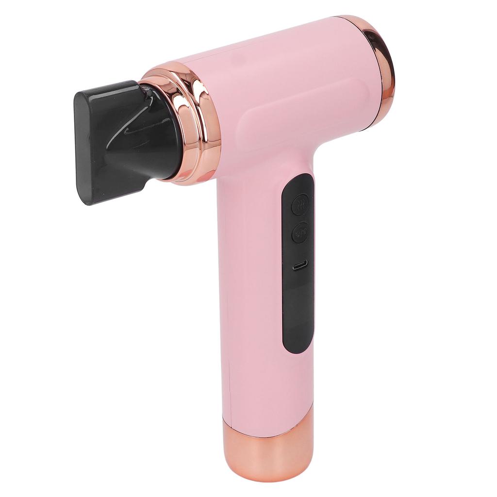Hair Blow Dryer Wet and Dry Use 200W Powerful Hair Dryer Portable Multifunctional Pet Blow Dryer for Travel