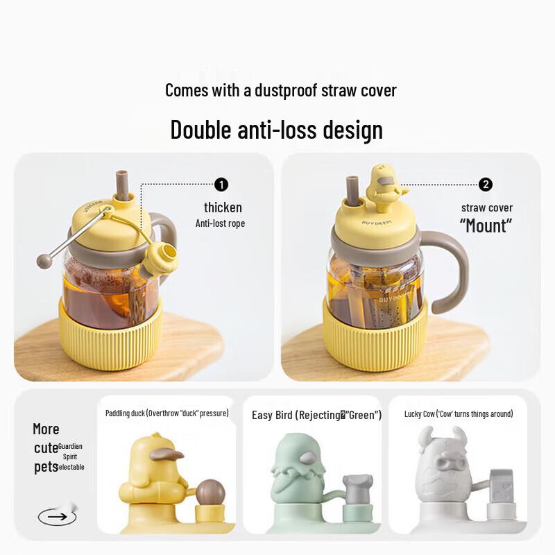 Buydeem Glass Tea Infuser Water Bottle