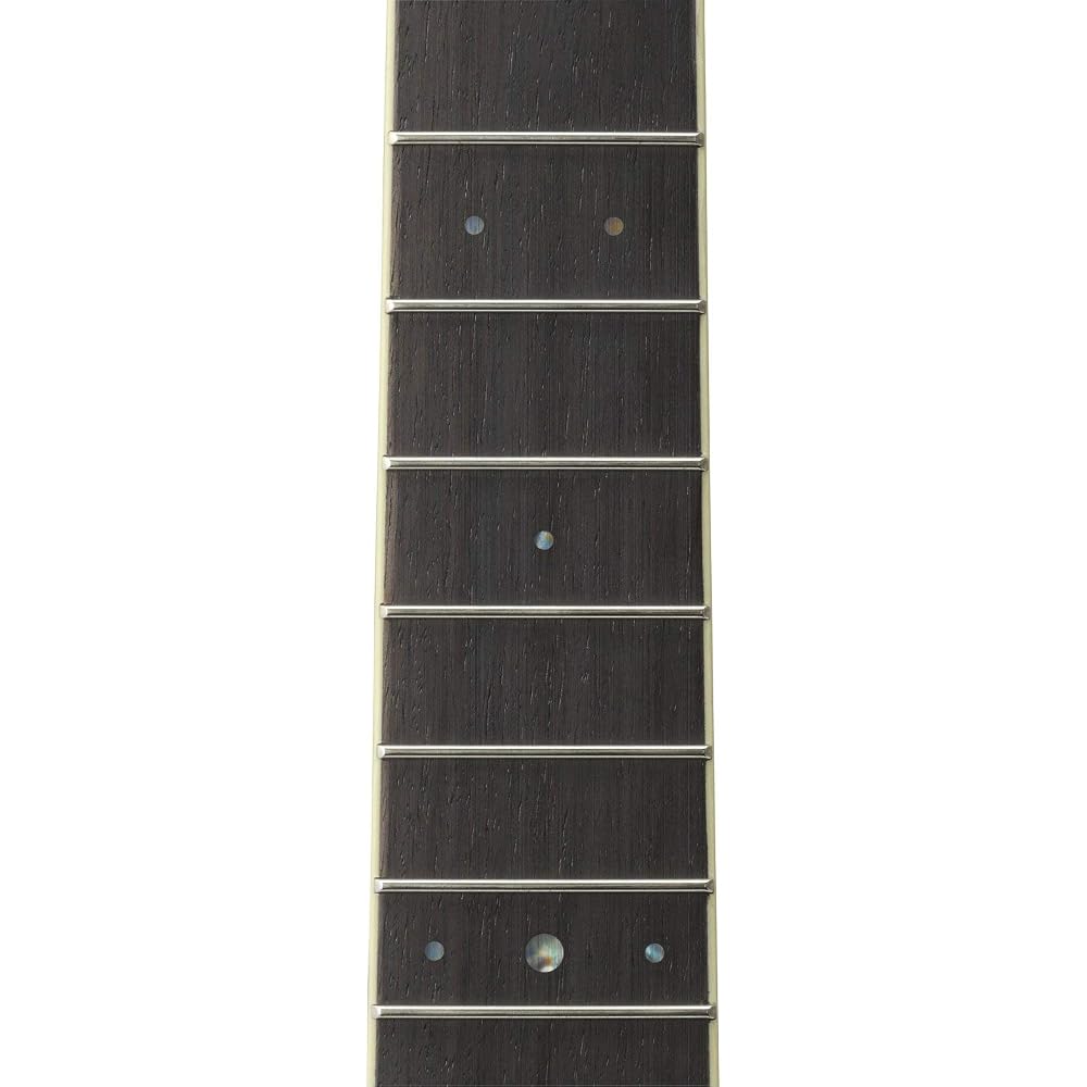 Yamaha YAMAHA acoustic guitar LS6 ARE