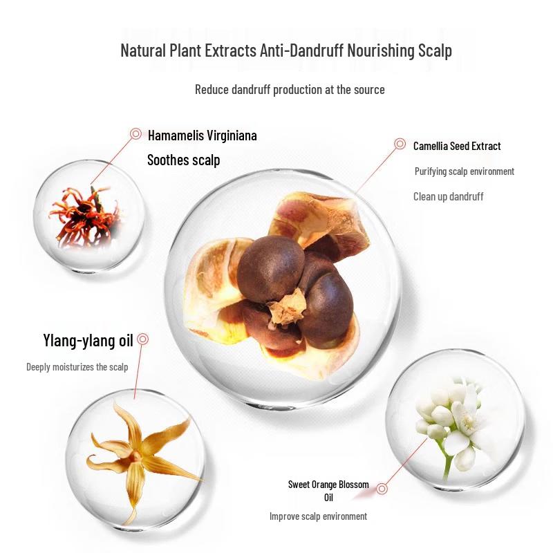 Seeyoung Tea Seed Refreshing Anti-Dandruff Fragrant Shampoo 400ml