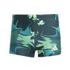 adidas Mens Graphic Print Snug Fit Swimming Trunks