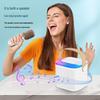 Y1 Wireless Bluetooth Outdoor Portable Speaker with Karaoke Mic