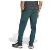 Adidas Terrex Xperior Light Pants