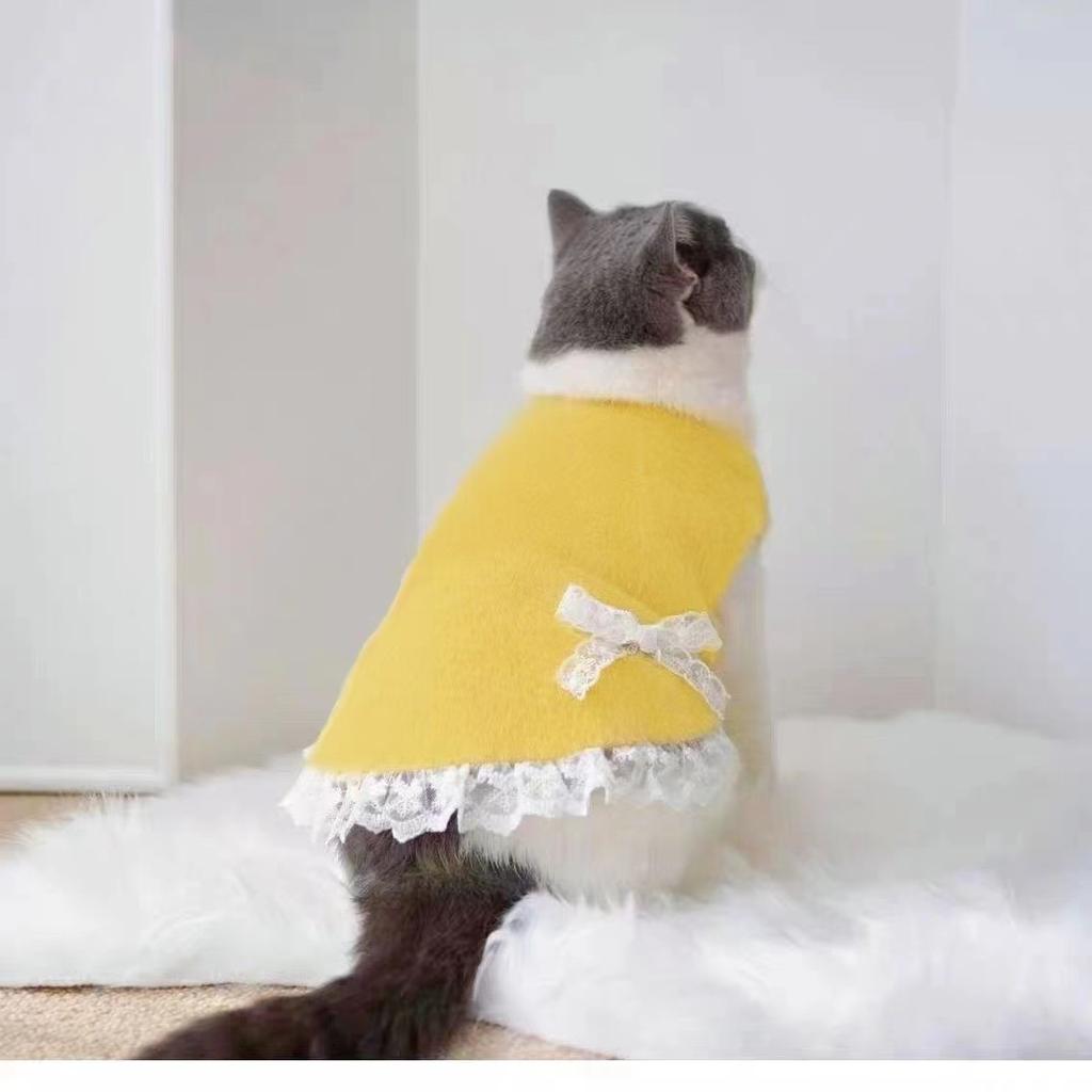 Pet Clothes Dog Cat Cute Vest Thickened Vest Warm Jacket Imitation Hair Loss Small Dog