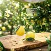 Car Hanging Air Freshener Soft Pomelo Scent No Residue Odor Remover for Car Styling Bedroom Closet