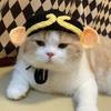 2023 Cartoon Handmade Warm Elastic Pet Cap Frog Hat for Party Photo Props Cat Hat