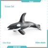Marine Animal Model Set: Shark, Turtle, Dolphin, Whale, Penguin, Crab, and Seabed Creatures