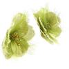 Les Trésors De Lily [D2073] - Designer Earrings 'Country Freshness' Green
