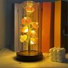 Handcrafted Sea Urchin Shell Night Light - Natural Real Urchin Lamp with Glass Dome Wooden Base, Warm LED Coastal Table Lamp