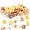 30 Colorful 3D Flower Resin Pushpins for Felt Boards and Polaroid Photos