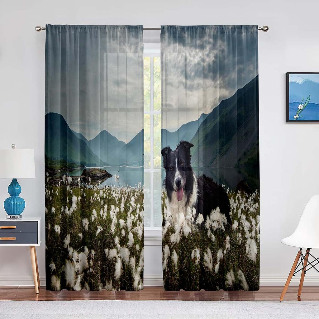 Two Pretty Border Collie Dog Tulle Curtains for Living Room Sheer Transparent Curtains Window for The Bedroom Accessories Decor