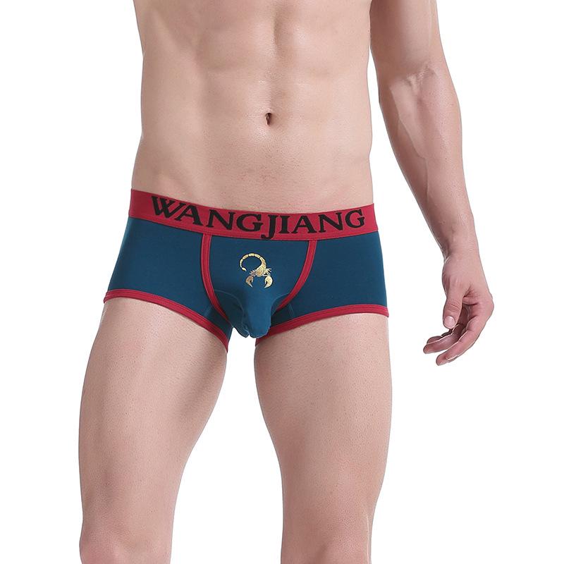 Men's Trendy Elephant Trunk Cotton Boxer Briefs (1027B)