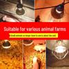 Poultry and Livestock Heating Lamp for Piglets and Chicks