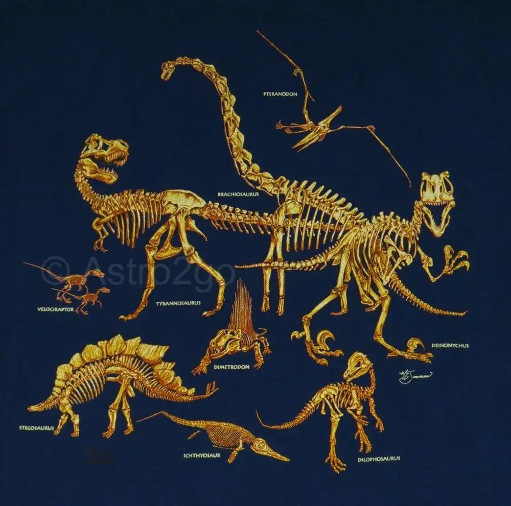 Jurassic Cretaceous TRex Dinosaur Skeletons Fossil TShirt New 100 Cotton ONeck Short Sleeve Casual Mens Tshirt Size S3XL S