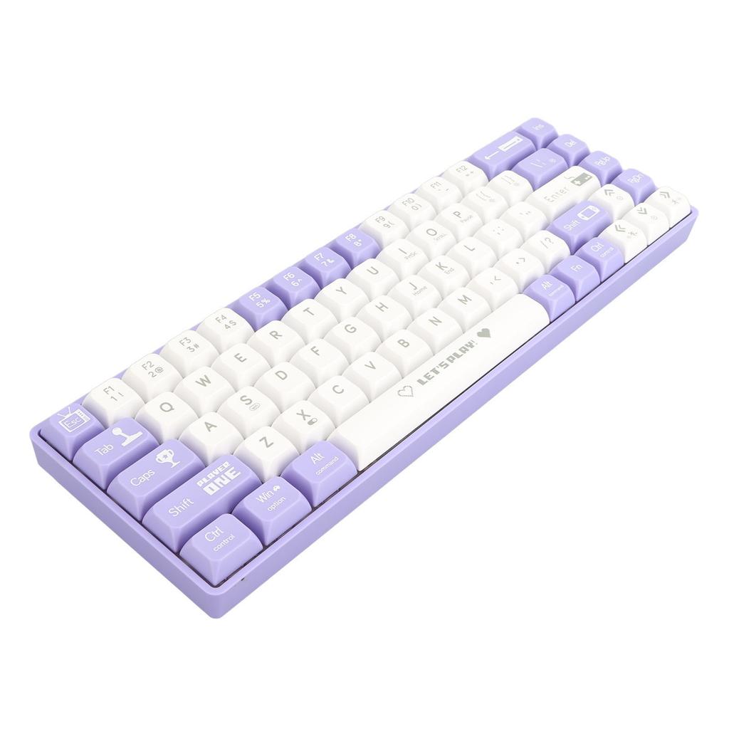 68 Keys Wired Mechanical Gaming Keyboard Hot Swappable Dynamic Backlighting Red Switch Mechanical Keyboard for Gaming