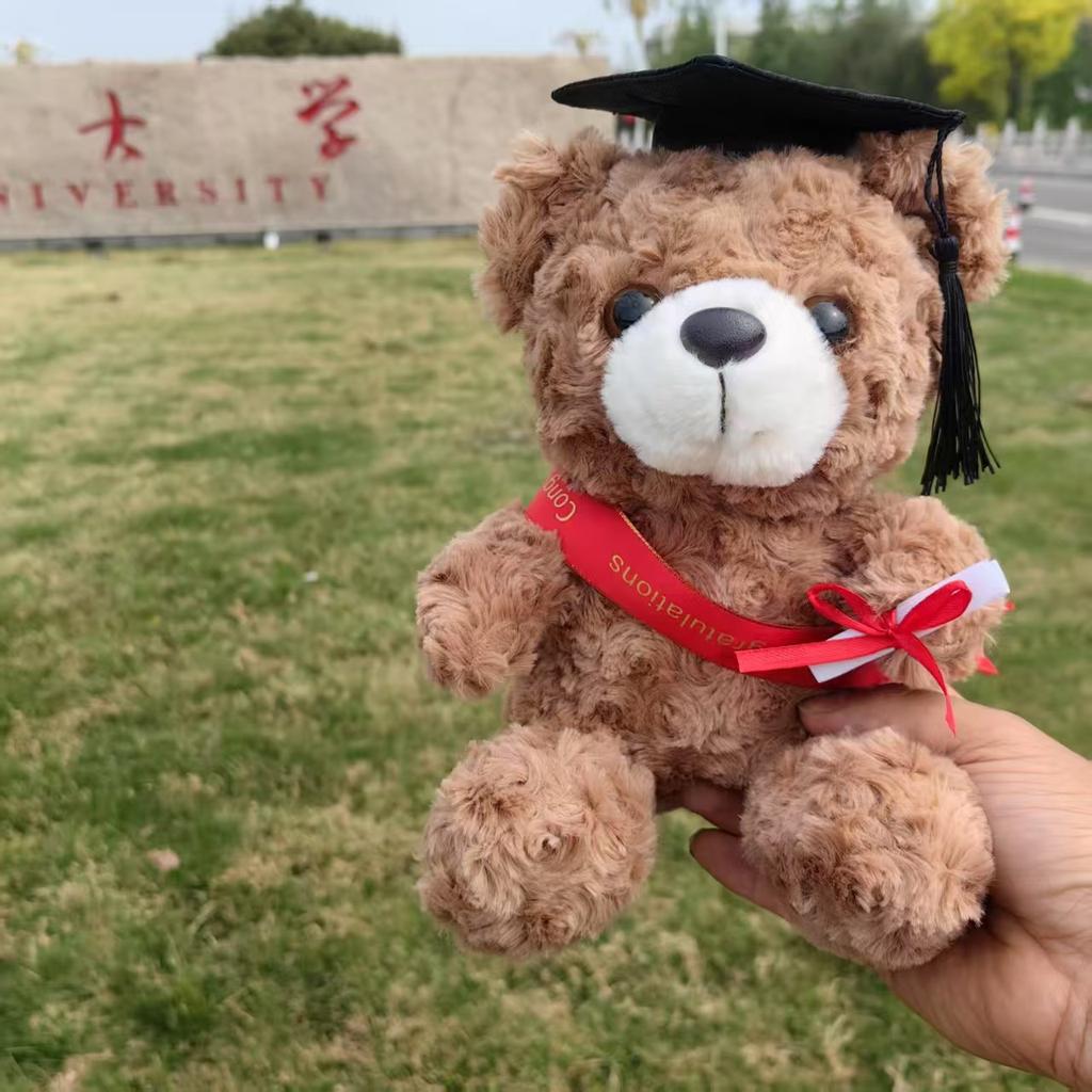 Abschluss Teddybär Stoffpuppe Bachelor Master Doktor Kleidung Puppendesign Geschenk Doktor Bär