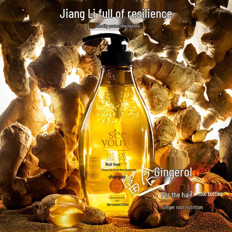 Seeyoung Ginger Strong Root Hair Shampoo