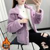 Women's Faux Lamb Wool Plush Coat - Korean-Style Loose Short Jacket for Autumn/Winter