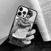 LEONARDO DICAPRIO PHOTO COLLAGE Phone Case Back Cover for iPhone 17 Air 16 15 14 13 11 12 Pro Max Plus Coque