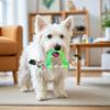 Dog Chew Toy Textured Ring Dog Toy Puppy Rope Knot Teething Toy Chew Rope for Teeth