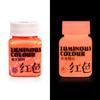 Glow in the Dark Paint,Acrylic Paint for Decorations,Art Painting Rich Pigments