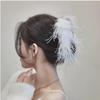 Korean Ins-Style High-Grade Plush Ostrich Feather Shark Hair Clip